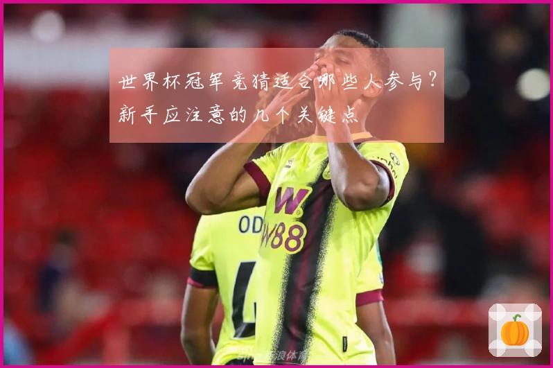 世界杯冠军竞猜适合哪些人参与？新手应注意的几个关键点
